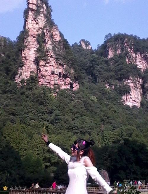 �żҽ�����