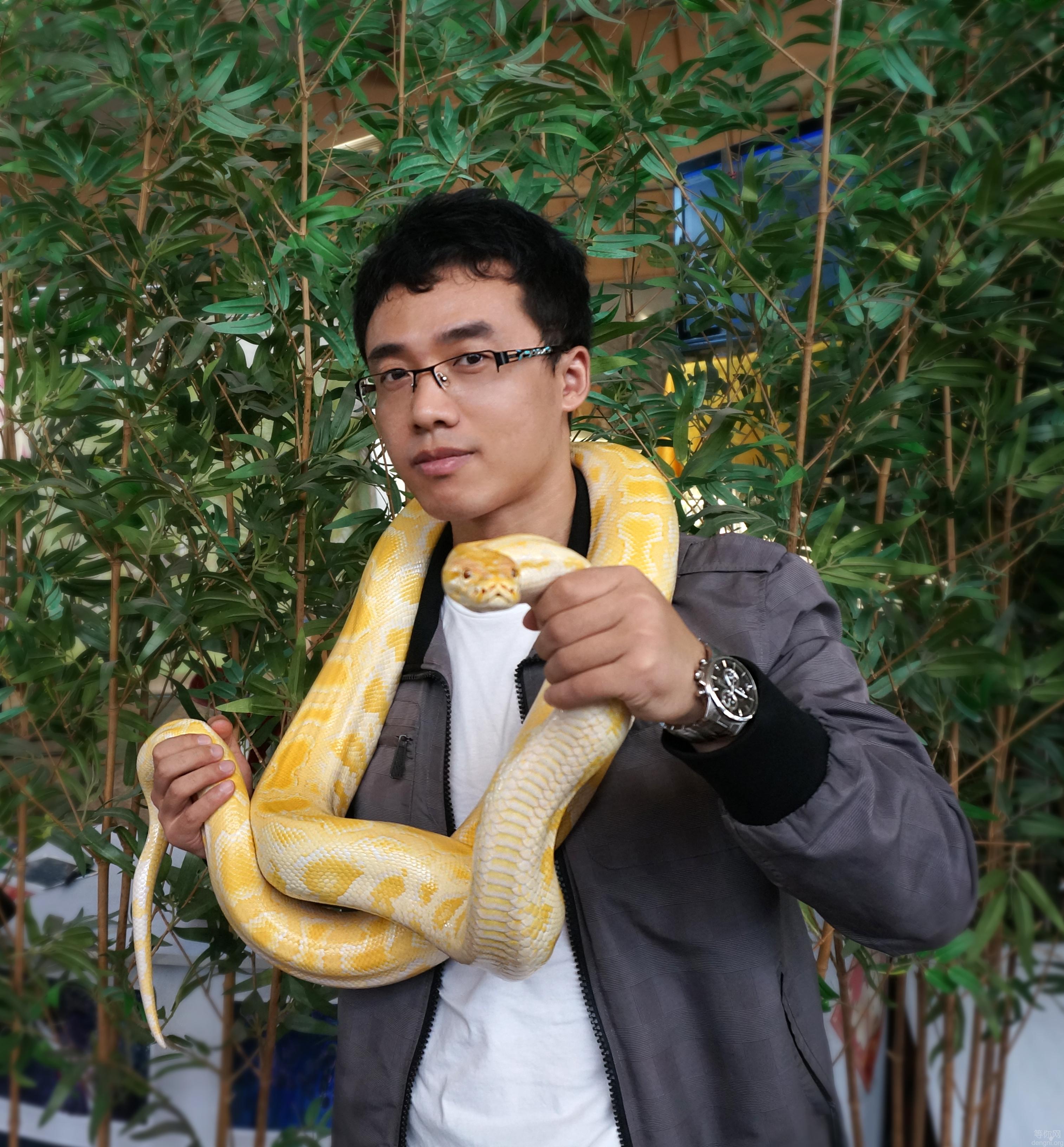 ��˳�߲����