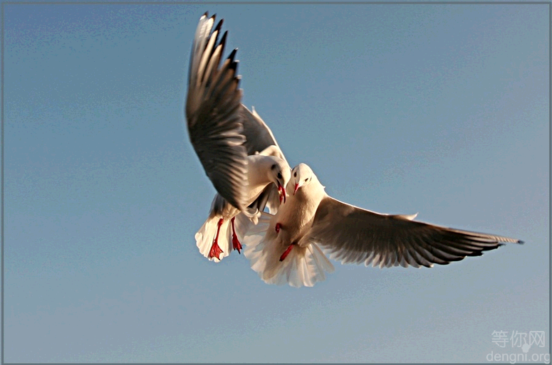 ����̸����ʱ����̸ʲô��