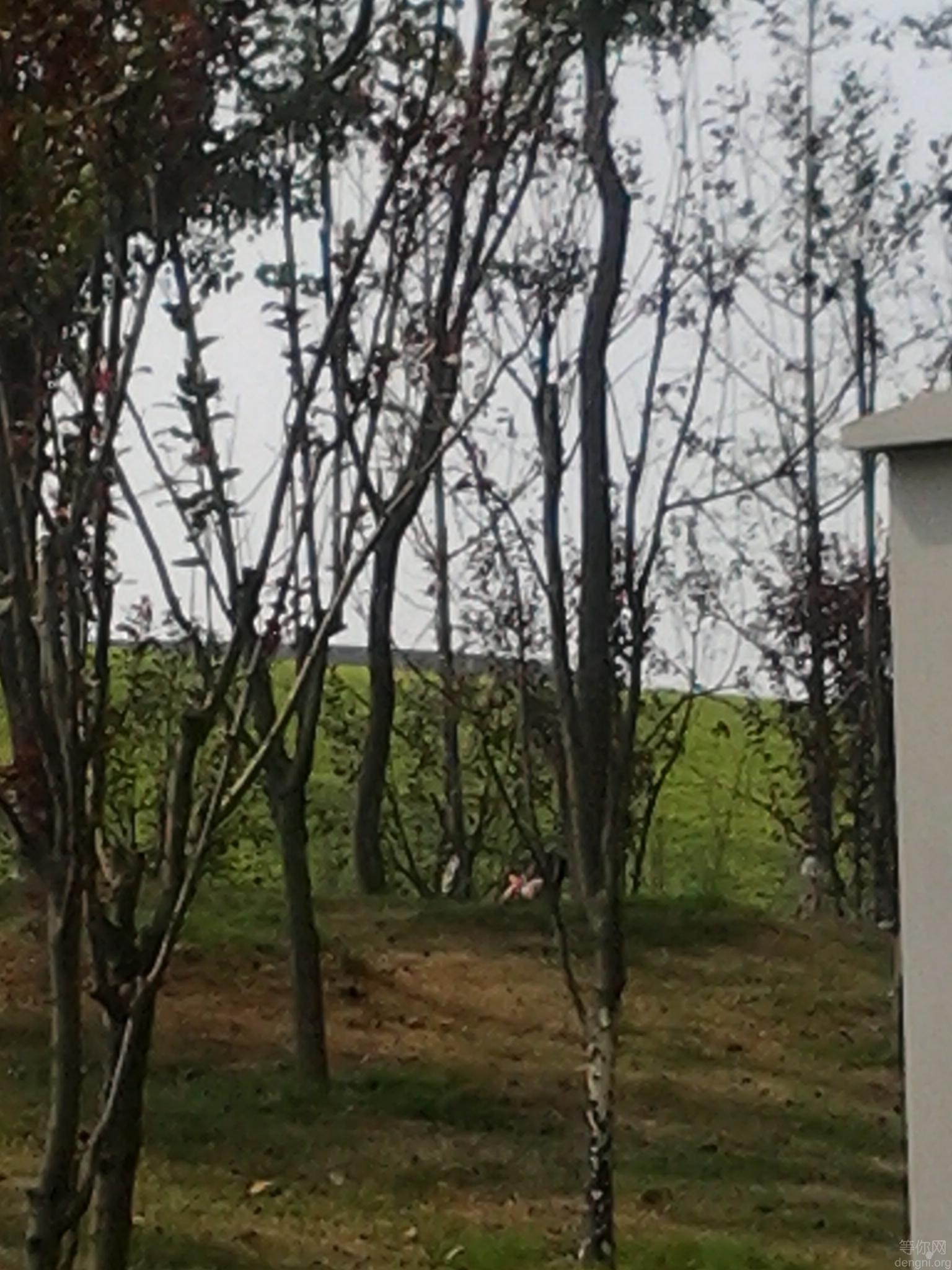 �Ͱ���һ���ȥ�棬����ķ羰��