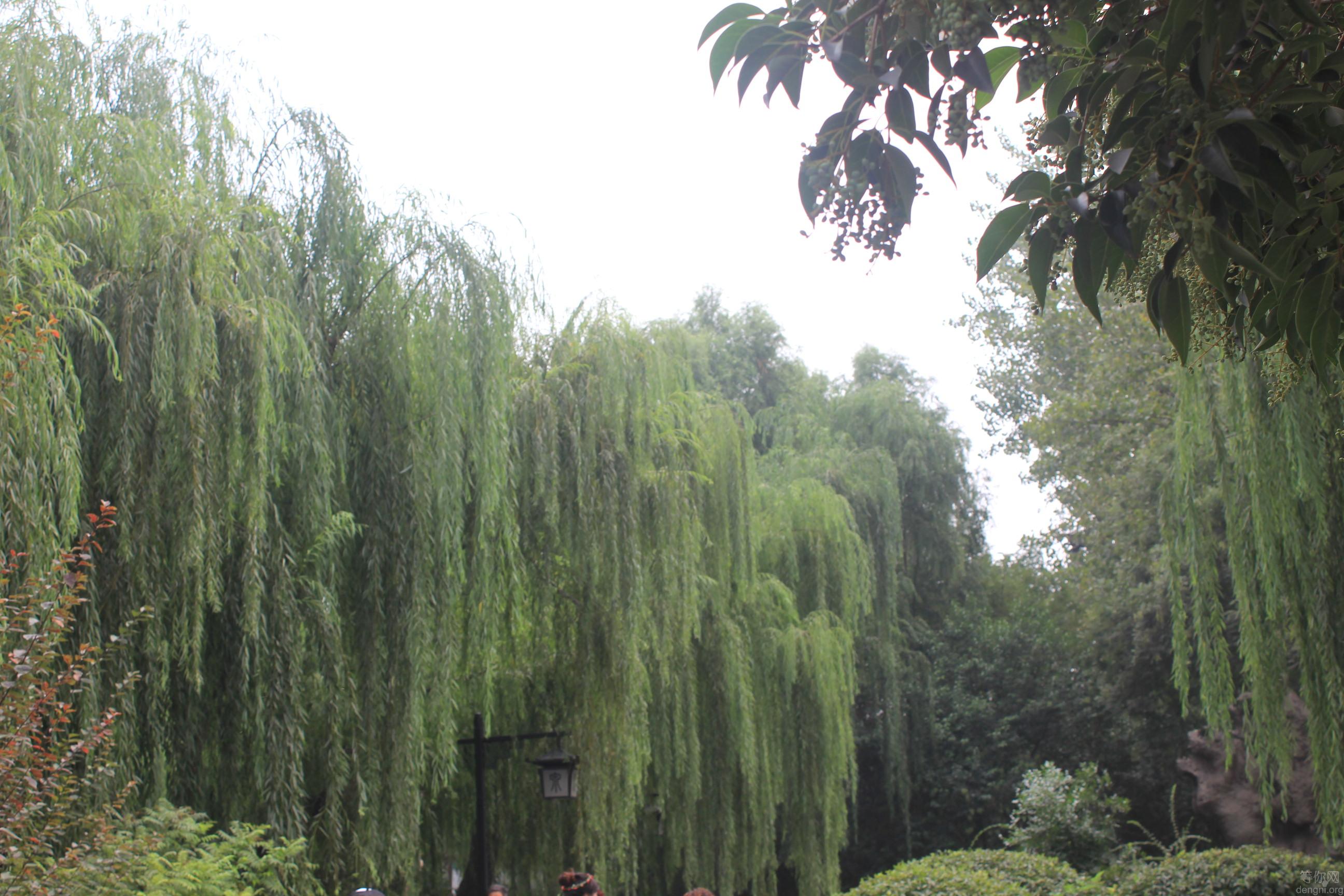 IMG_0218��������� ����