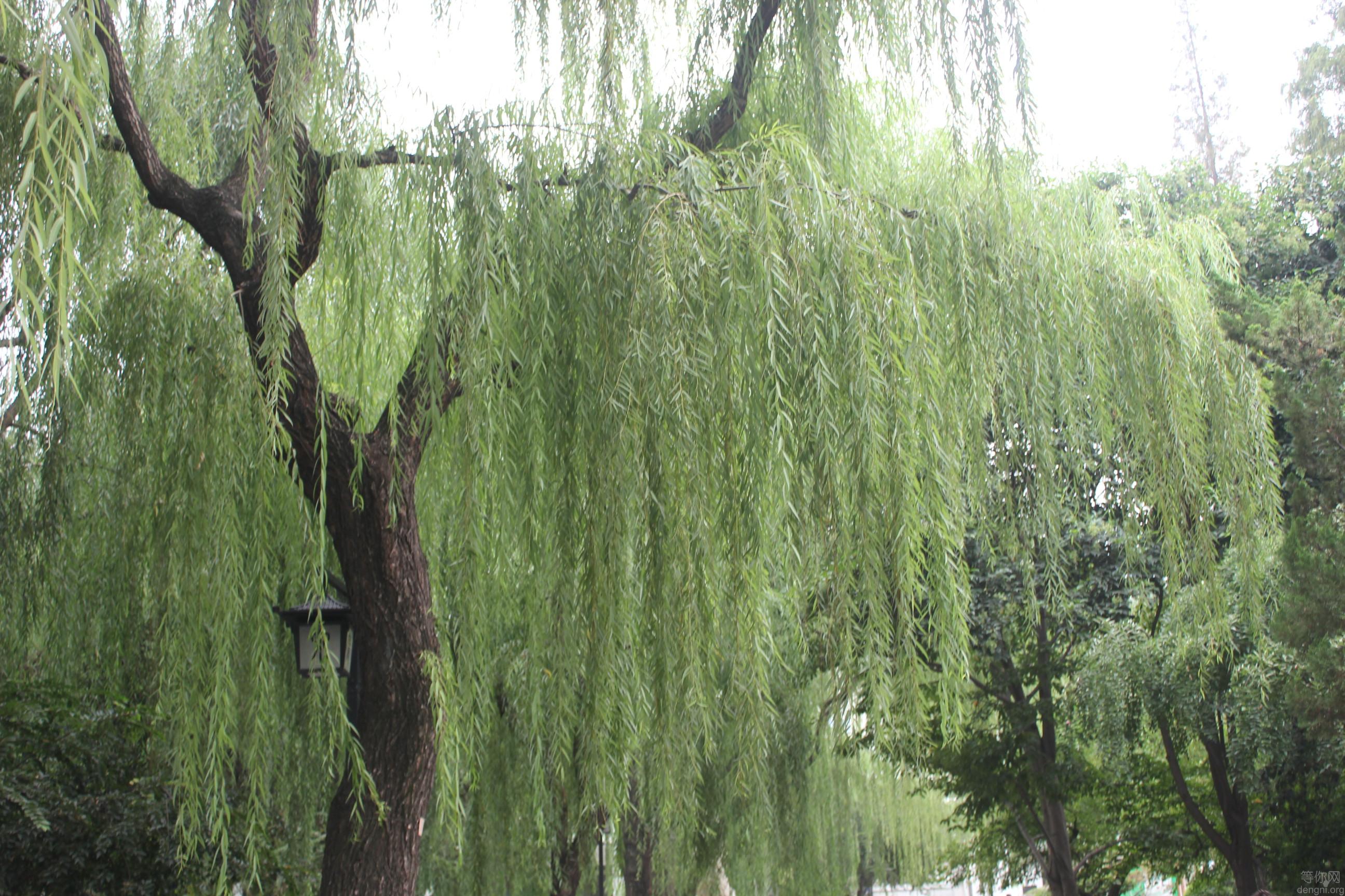 IMG_02782014��9�·ݹ��ݷ���ɽ�� �ڼ�������� ����