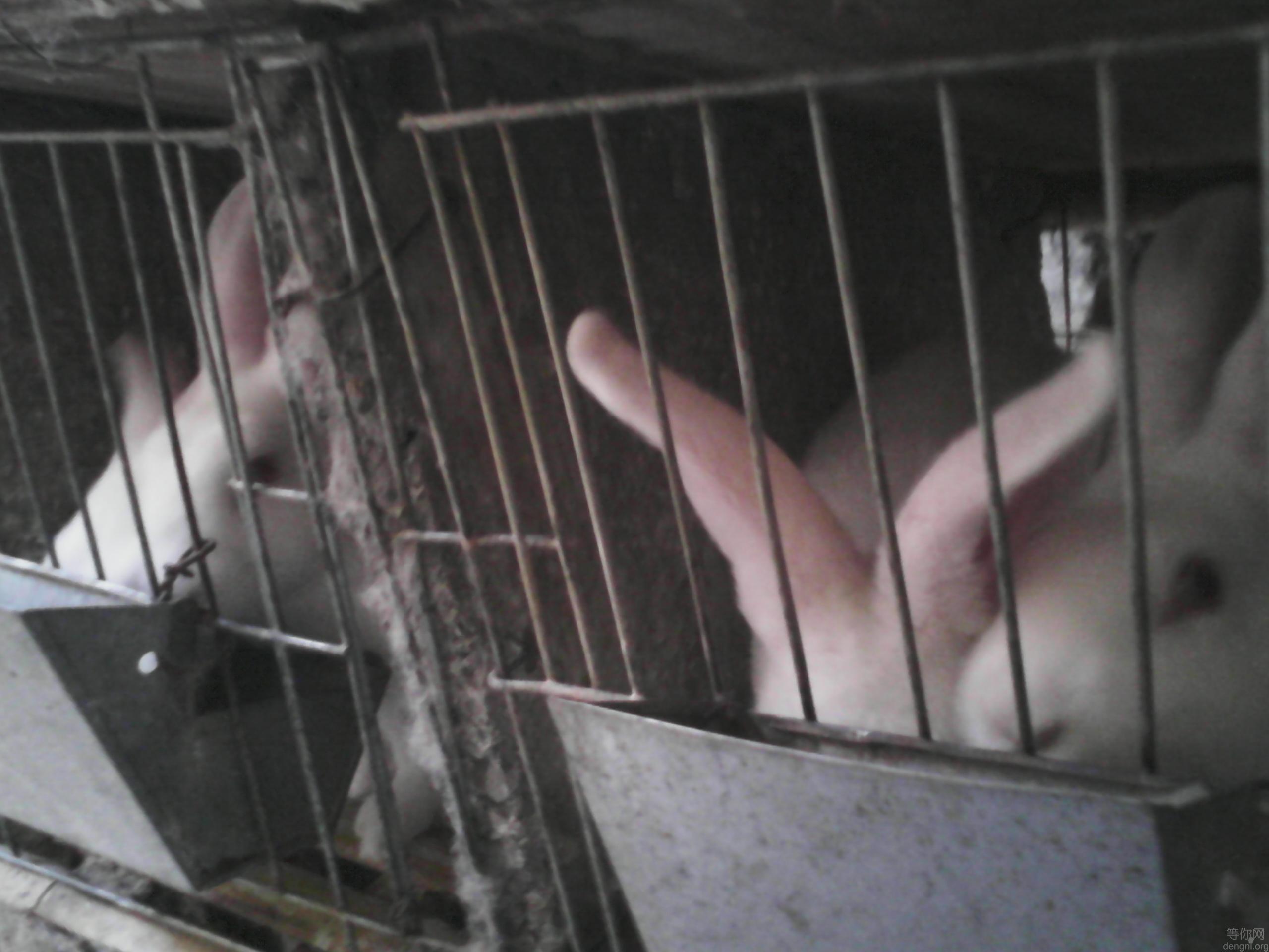 IMG_20150513_064736_624