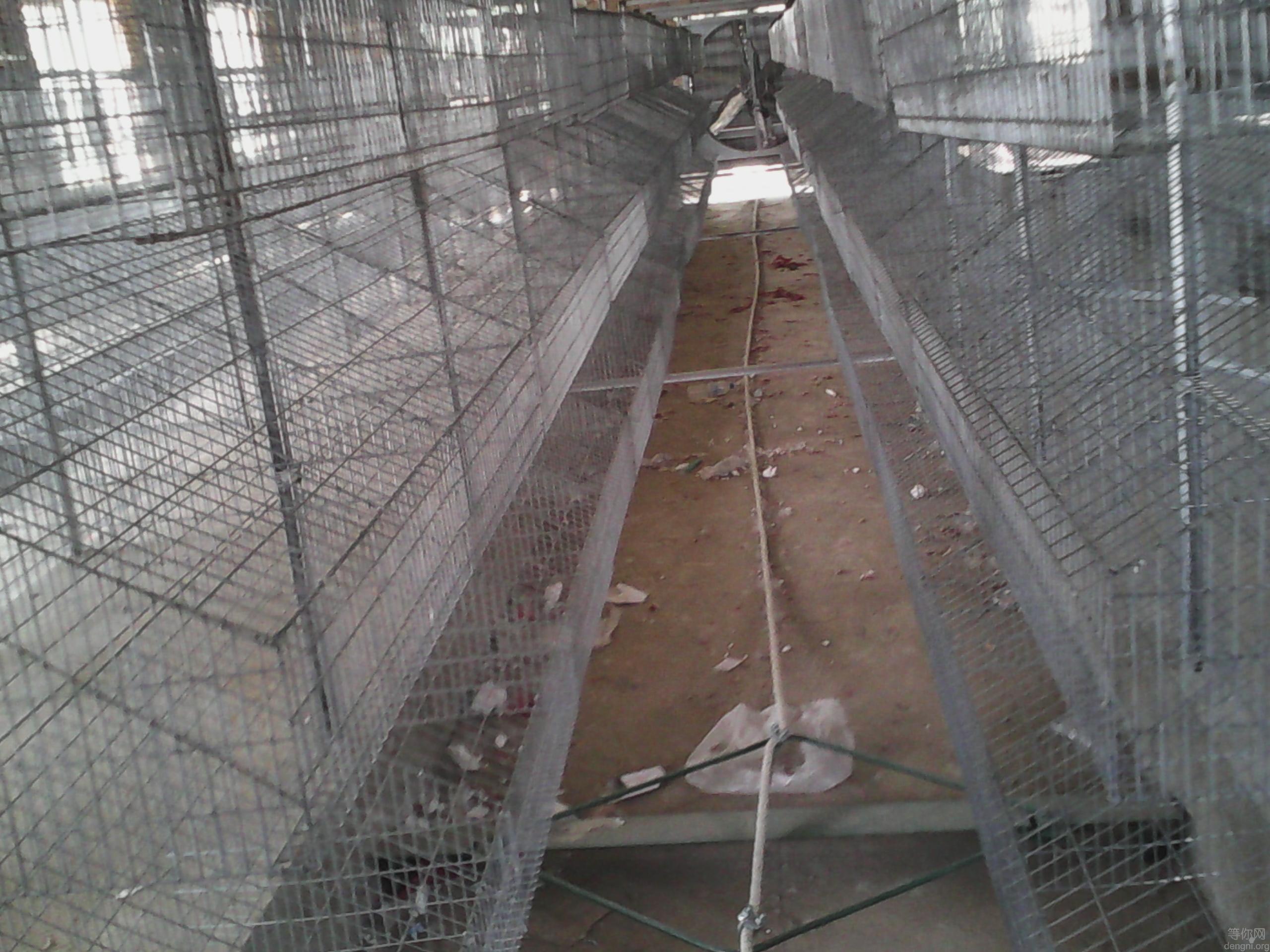 IMG_20150515_140018_960