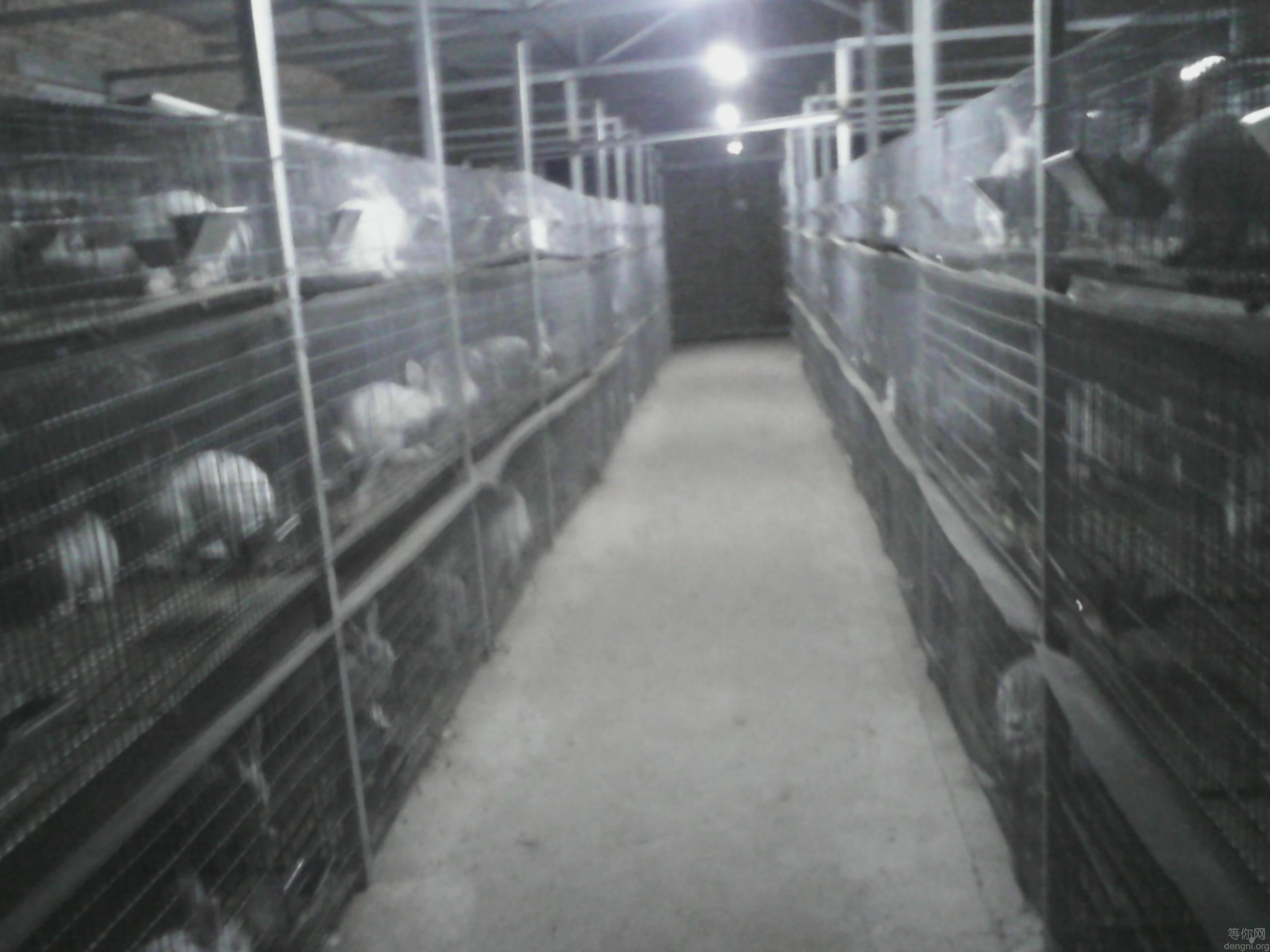 IMG_20150531_220938_951