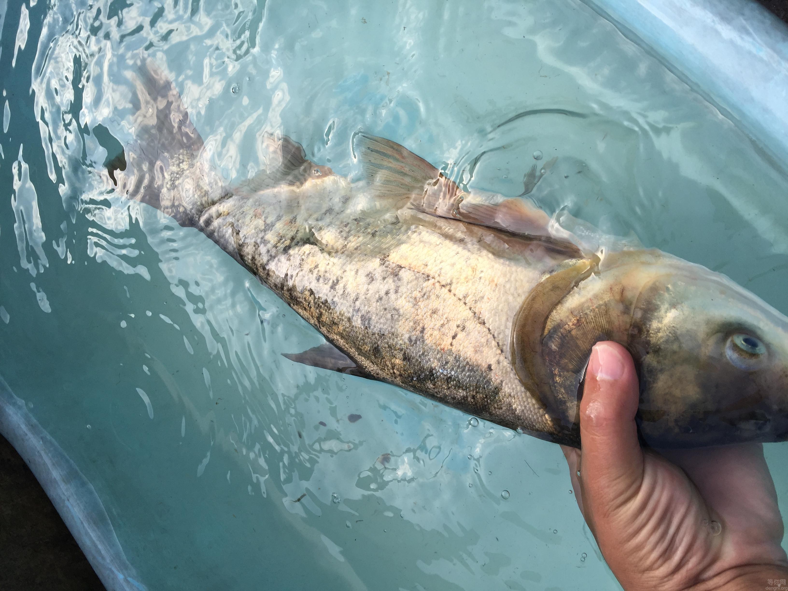 6CA7E7B8-9E20-428E-869A-61CFFA32C514