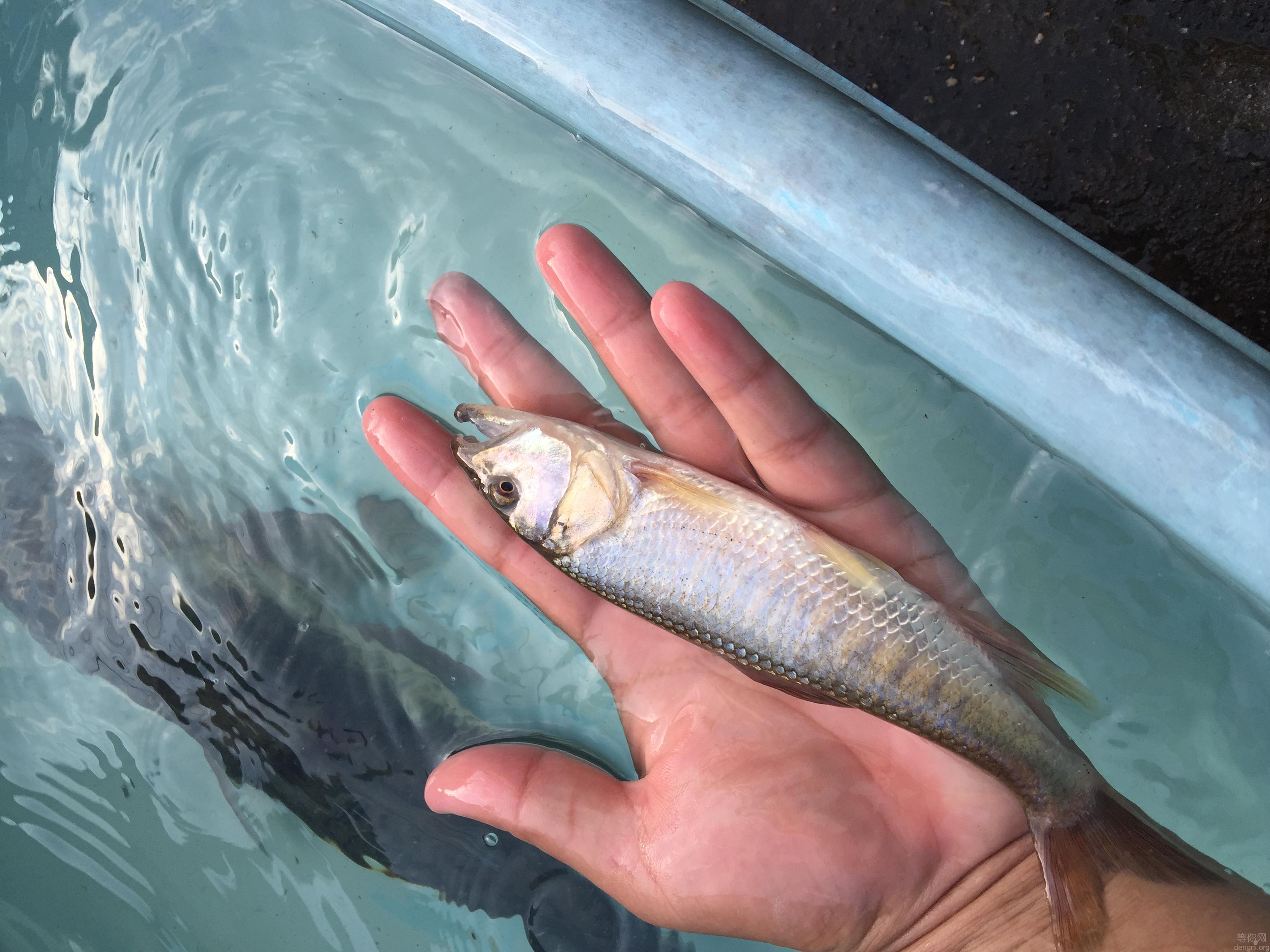 C42A0844-D5D1-41CA-9272-6A023053E705