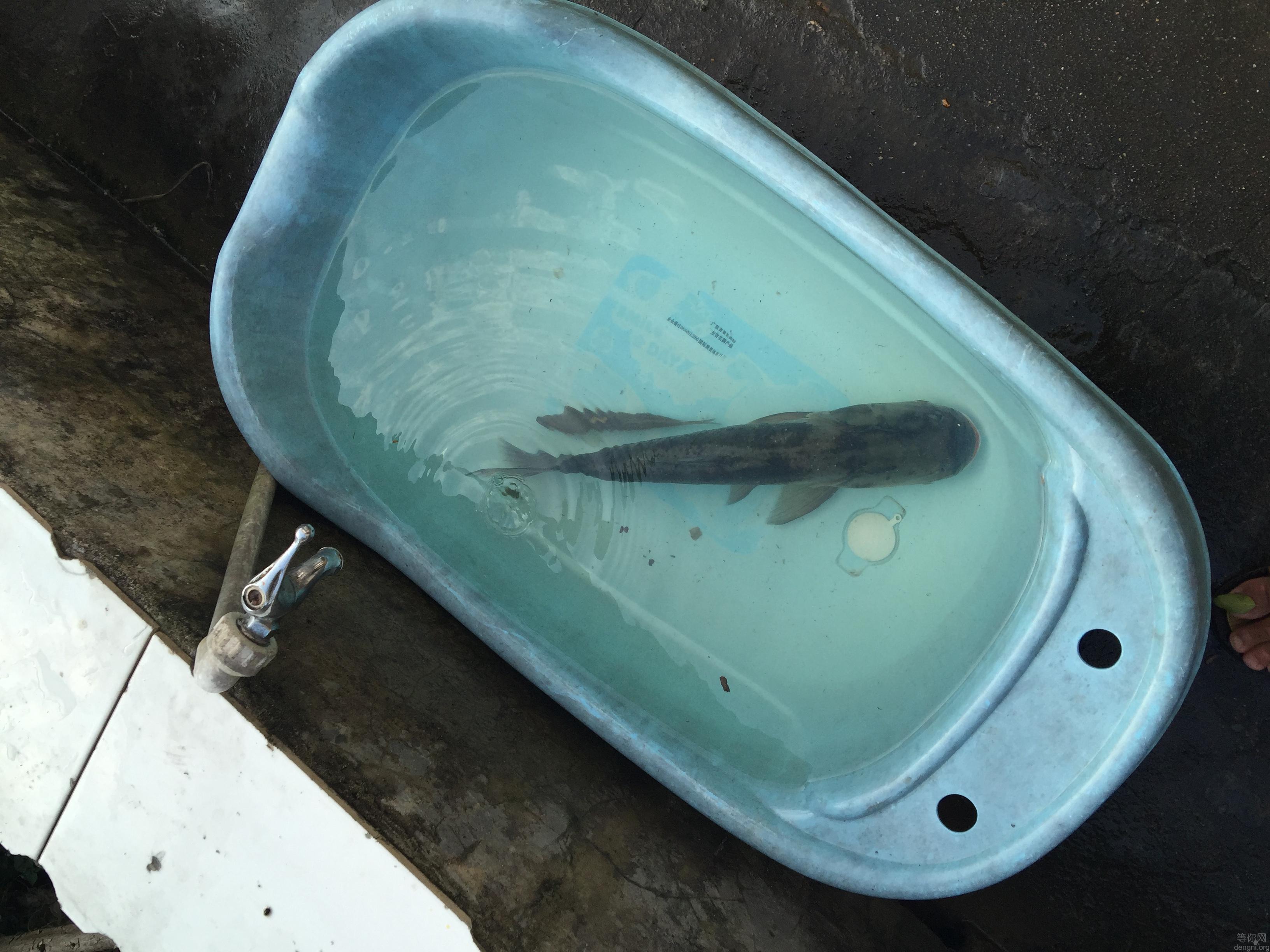 C89ECC0D-F33B-455F-8D93-C98E5E4B16A8