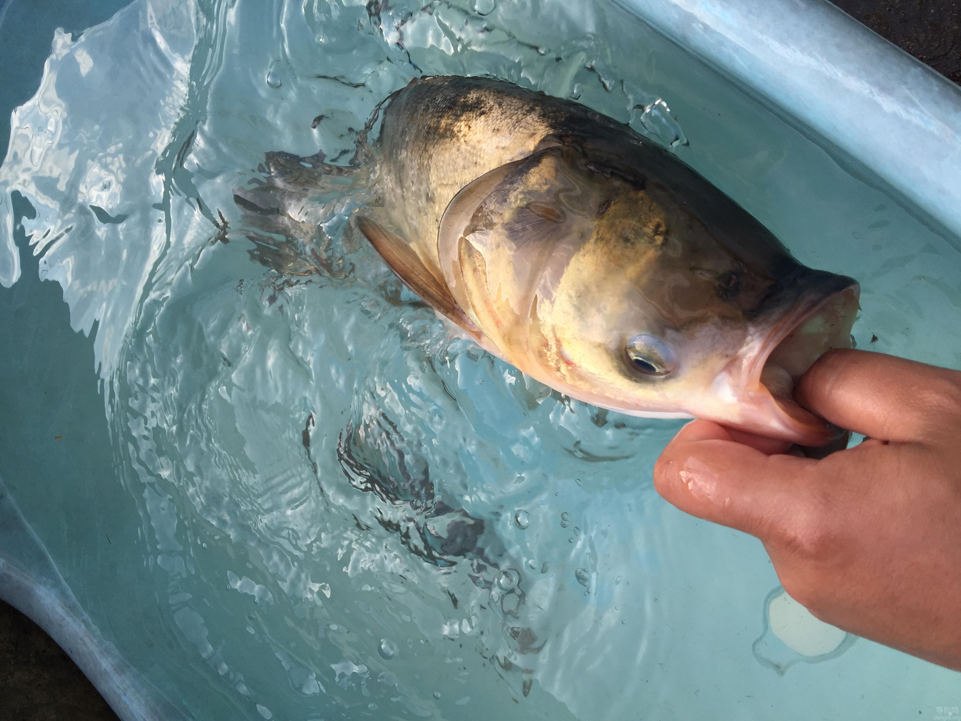 F9E32FCA-828D-4735-848E-350E871A70FD