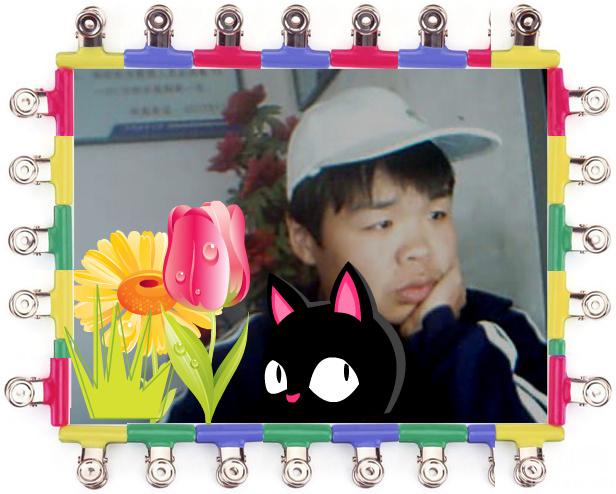 ����  �ֻ�  15161313290     QQ2282645840