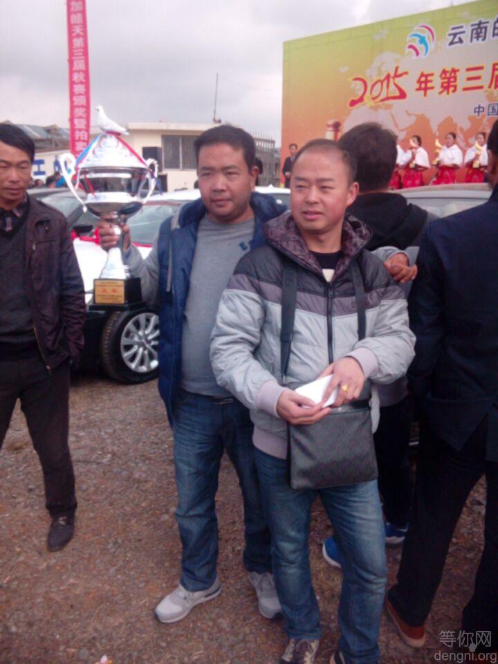 2015�������佱�������