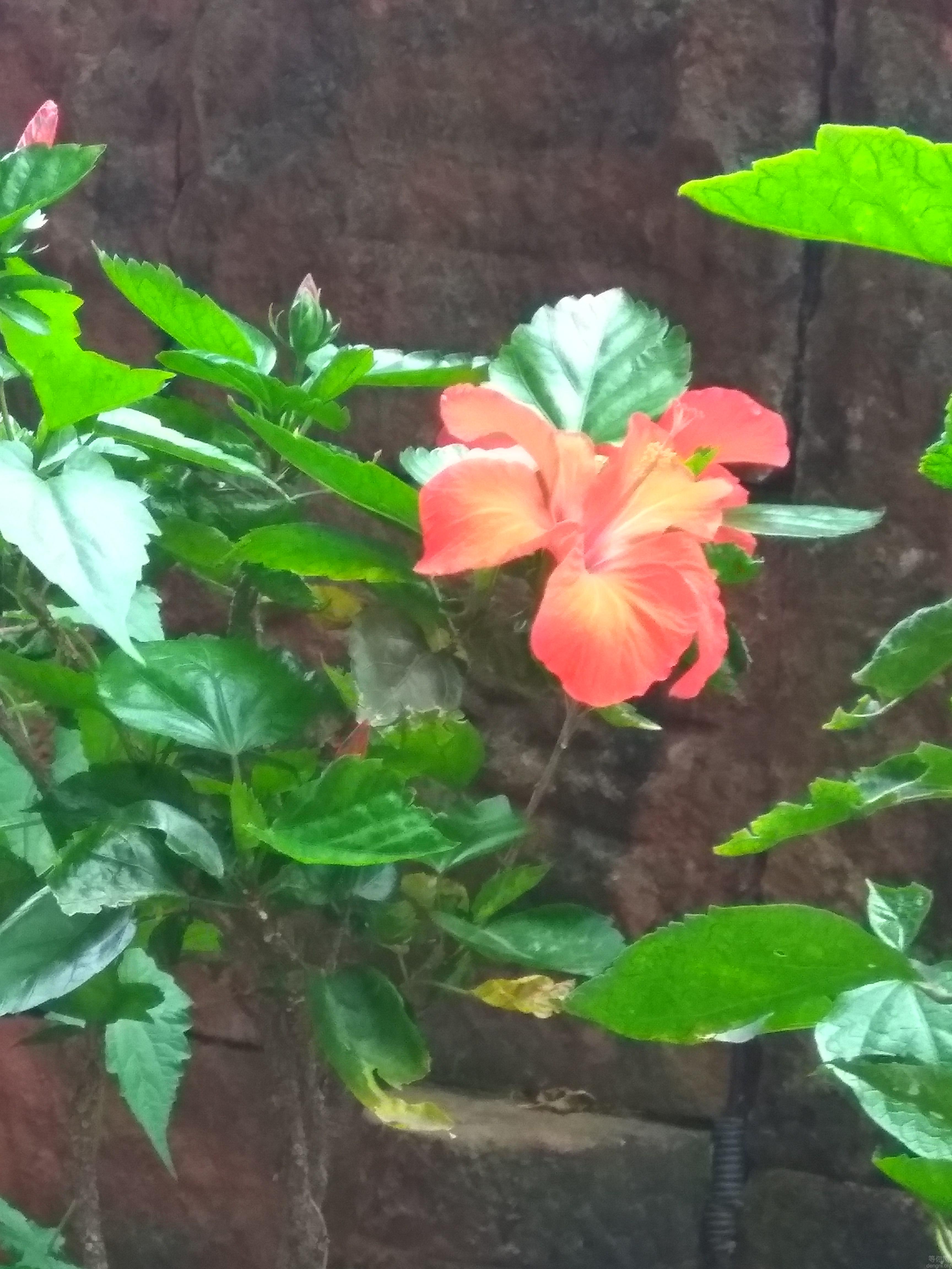 ����֮��