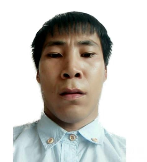 ������Ƭ