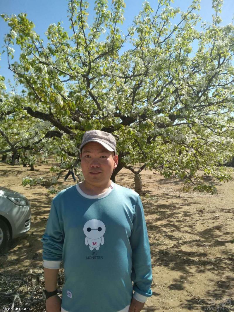 202379835ad47fb24d198