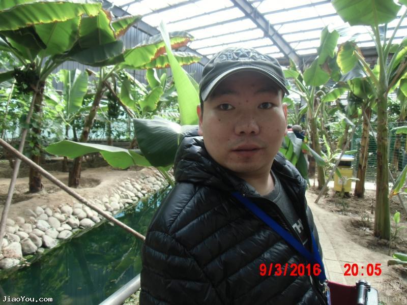 1263935269586afc325033d