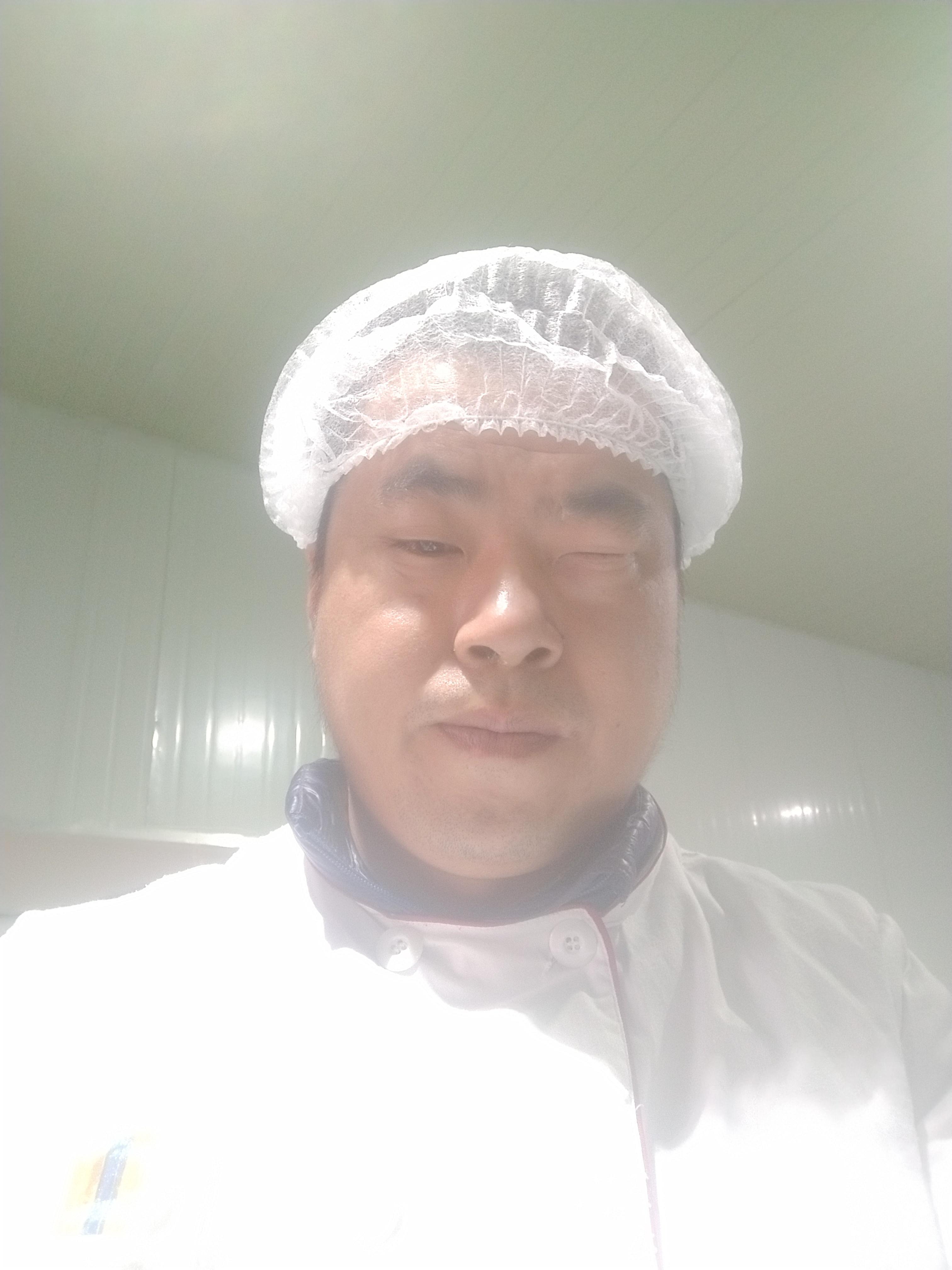 ������Ƭ