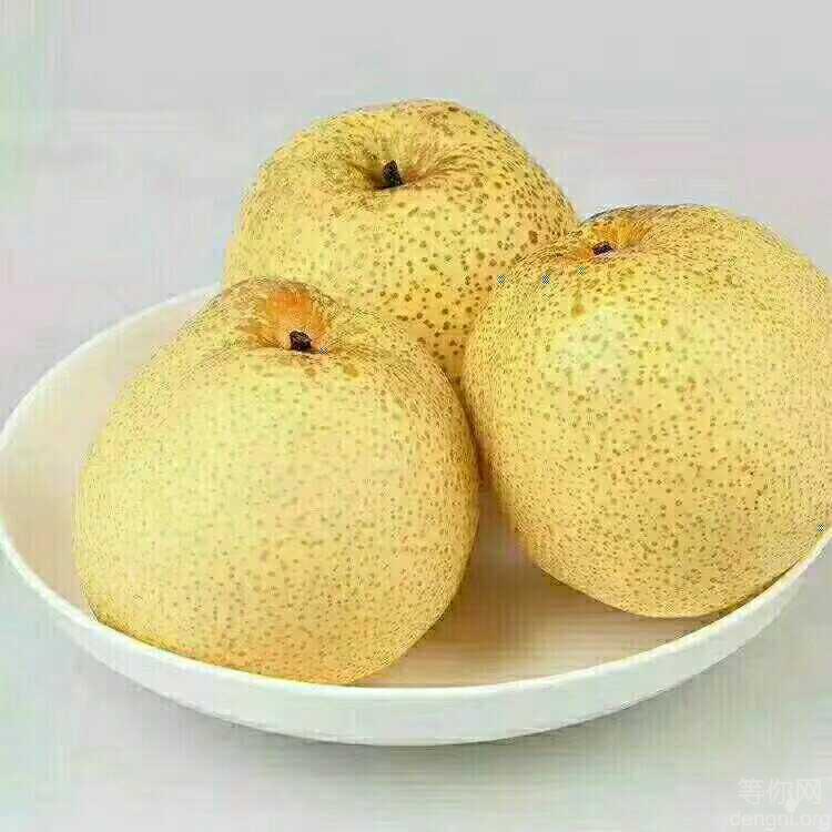 �Ҽҵ���ɽ����