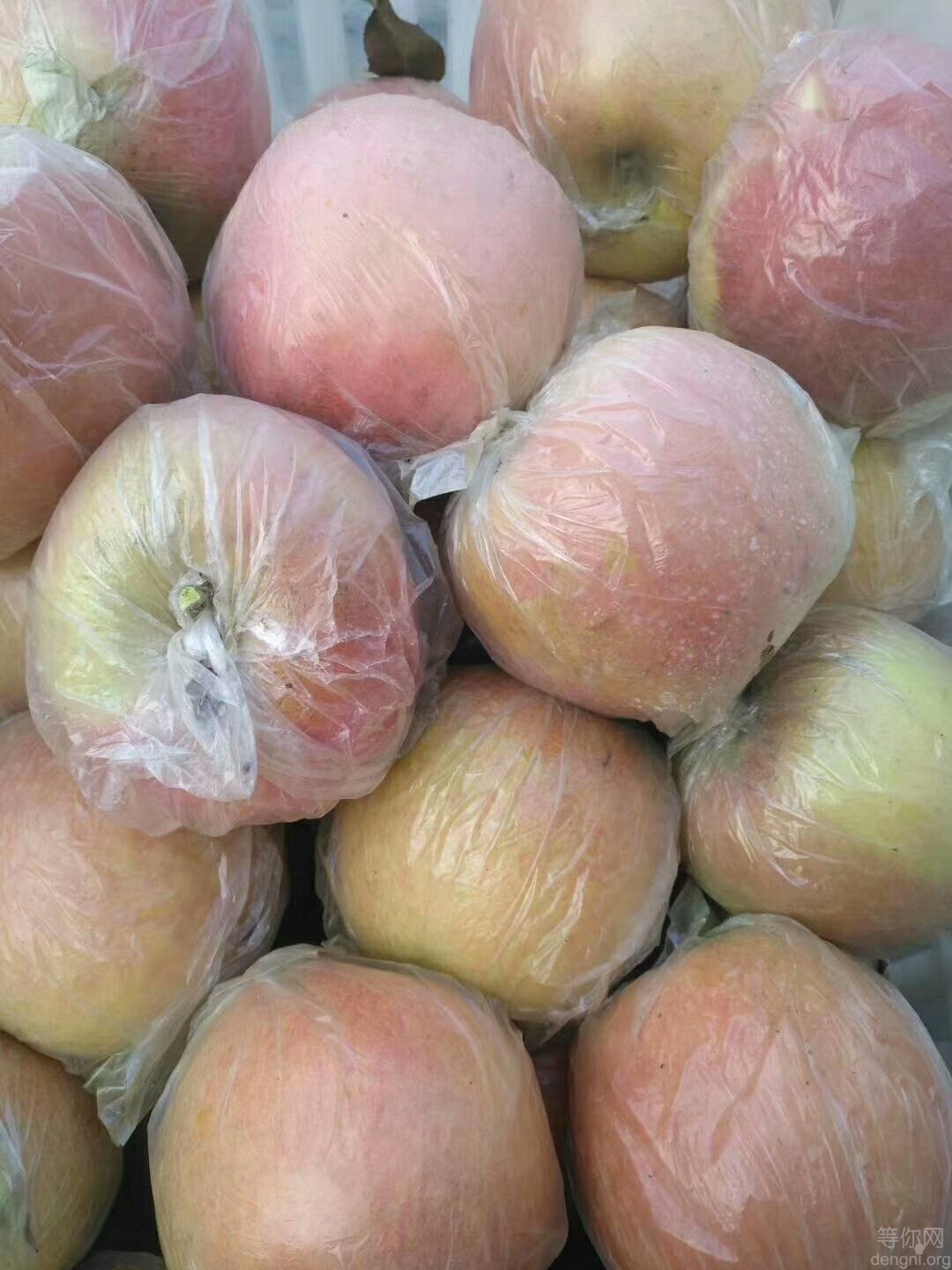 ��ɽ��ʿƼ��