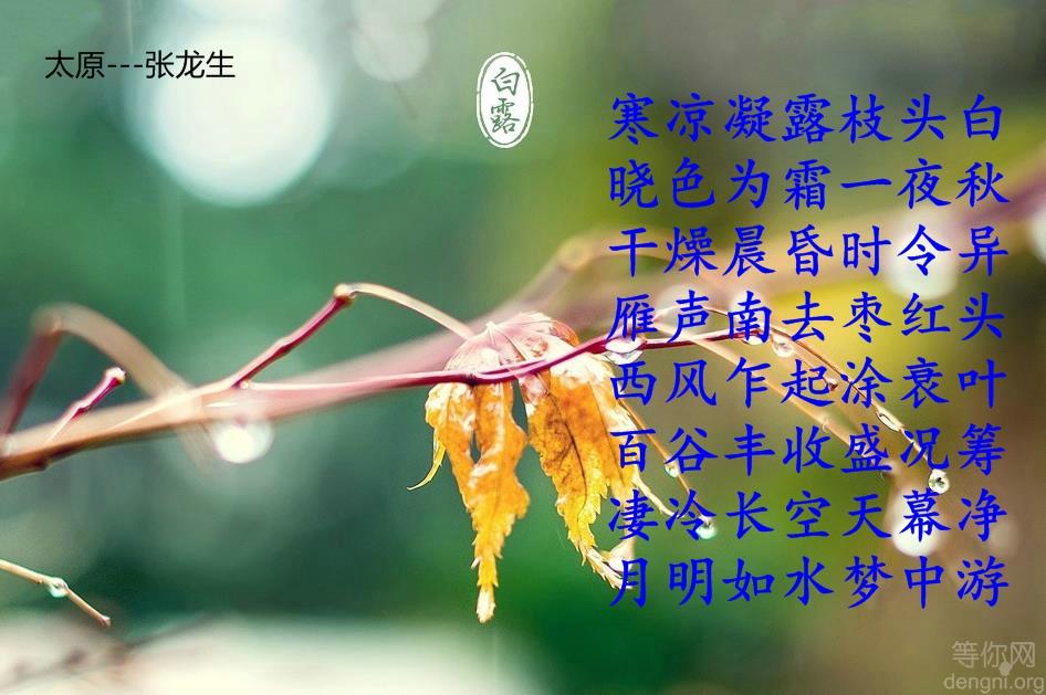 �Լ�д��ͼƬʫ