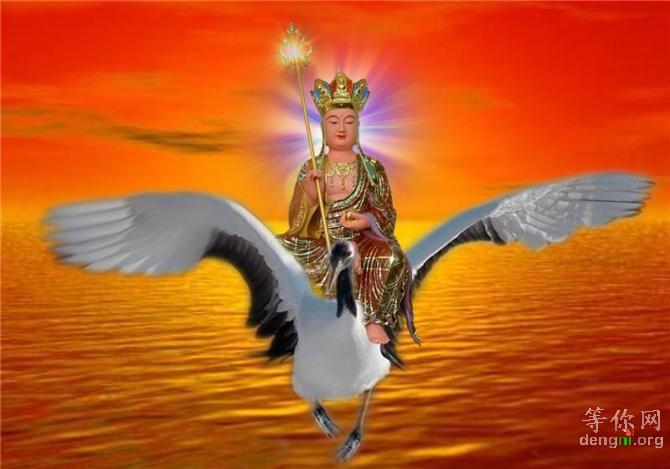 fd538939ad003e1f96ddd88d[1]