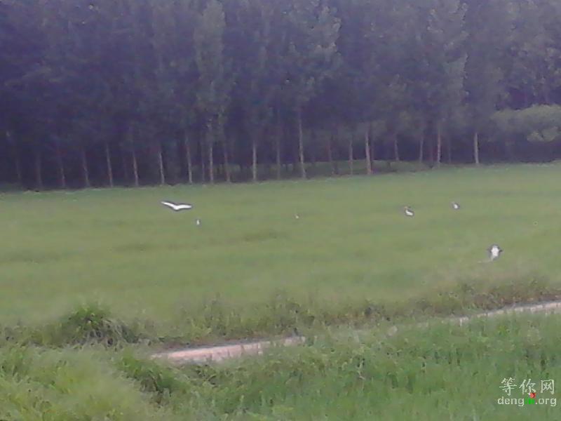 ��Ժ����