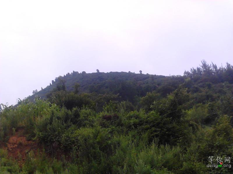 �н�����;