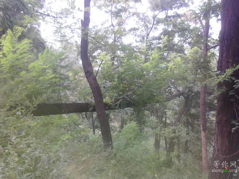 ��ʮ��Σ��