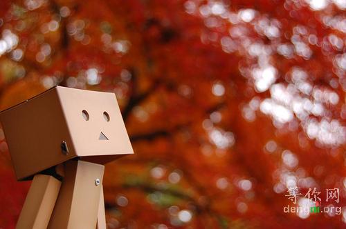 c178c5118f1e59f2a6ef3fae