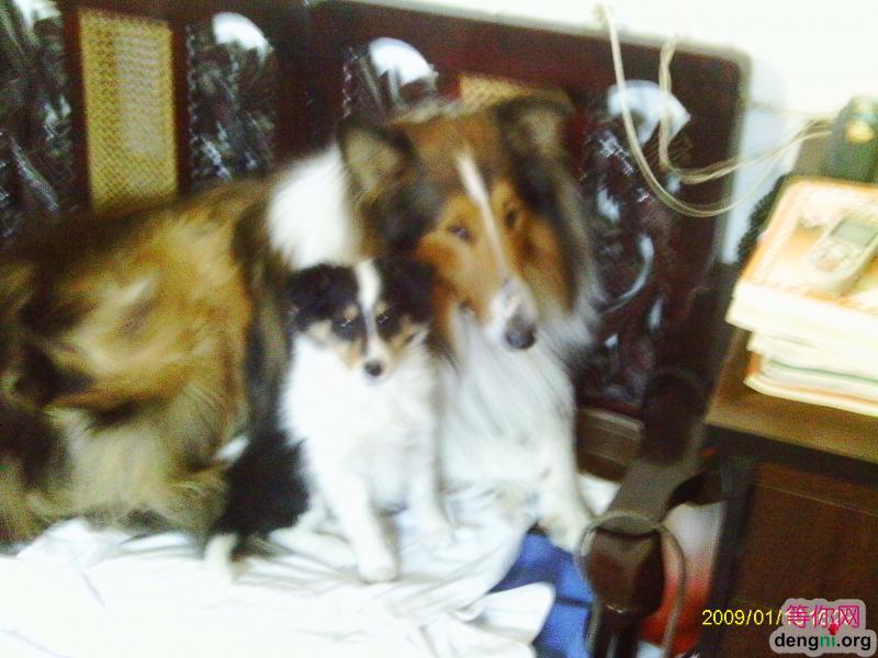 ���еı���������