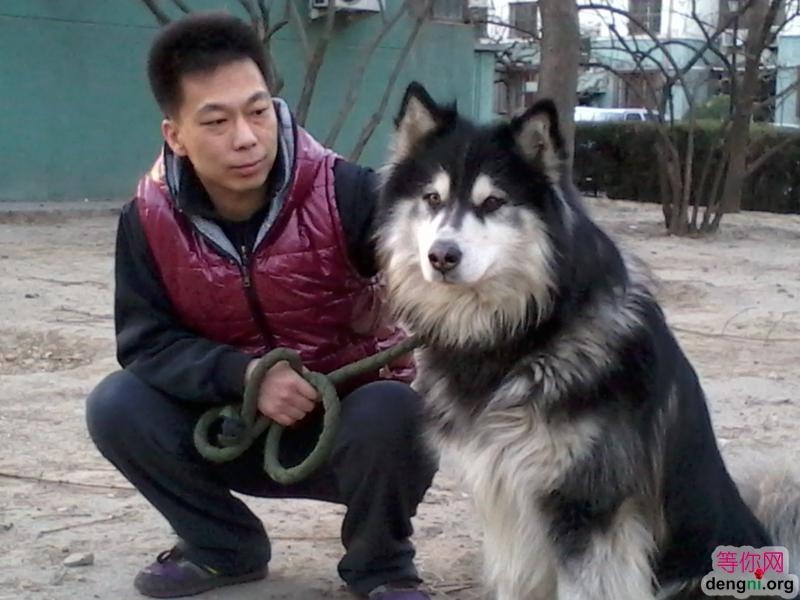 ������Ƥ��ɫ�ǣ�