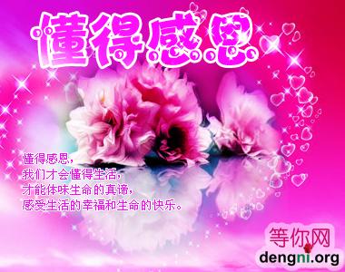 1112251802a8dec4e7a6e459a8