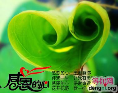 1112251802003c931138de1853