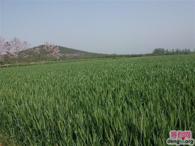 ����5�µľ���