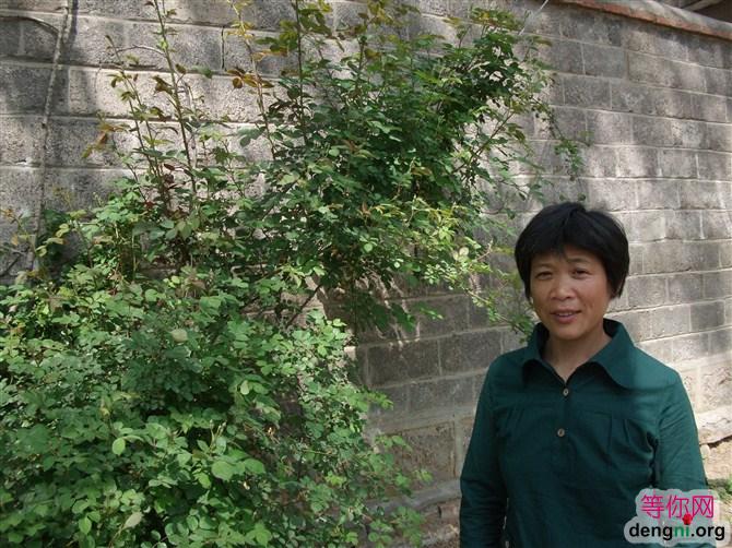 ���ͻݵ�����