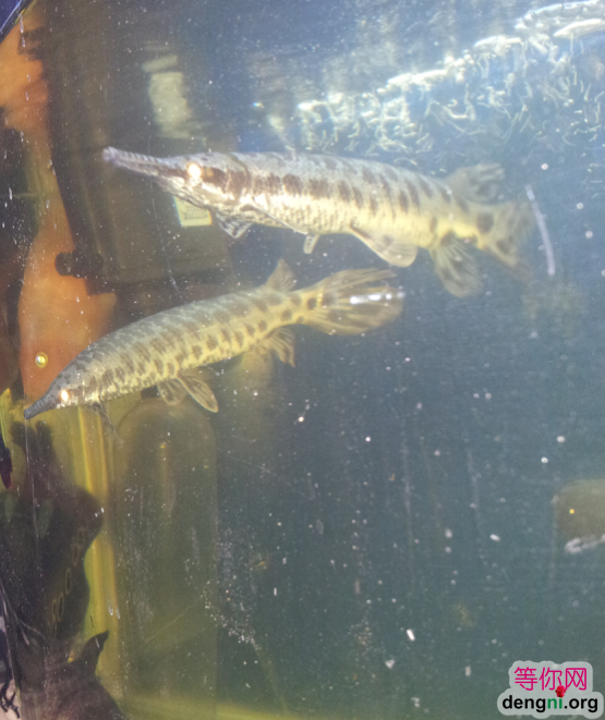 QQ��ͼ20130212170642