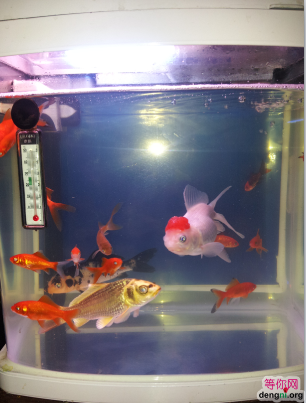 QQ��ͼ20130212170954