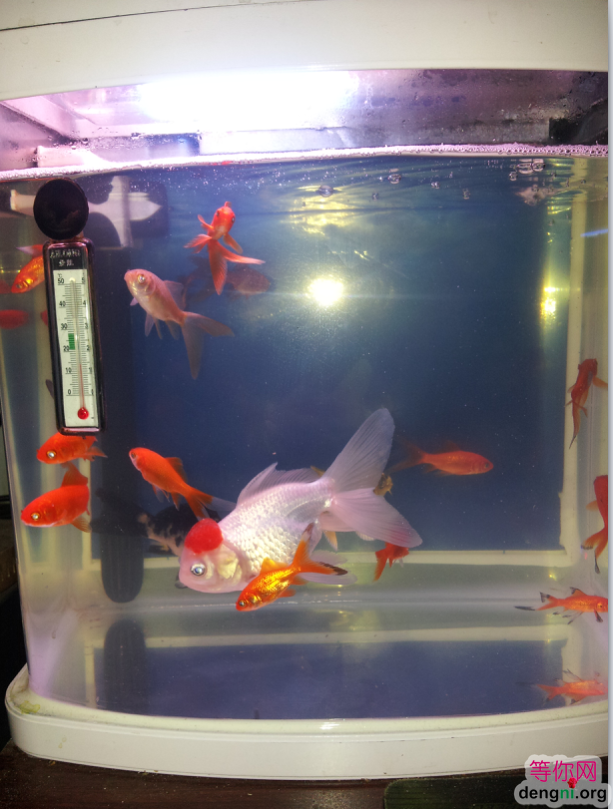 QQ��ͼ20130212171024