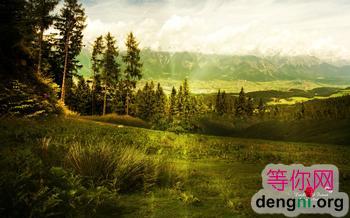 u=723937888,1625051824&fm=23&gp=0[1]