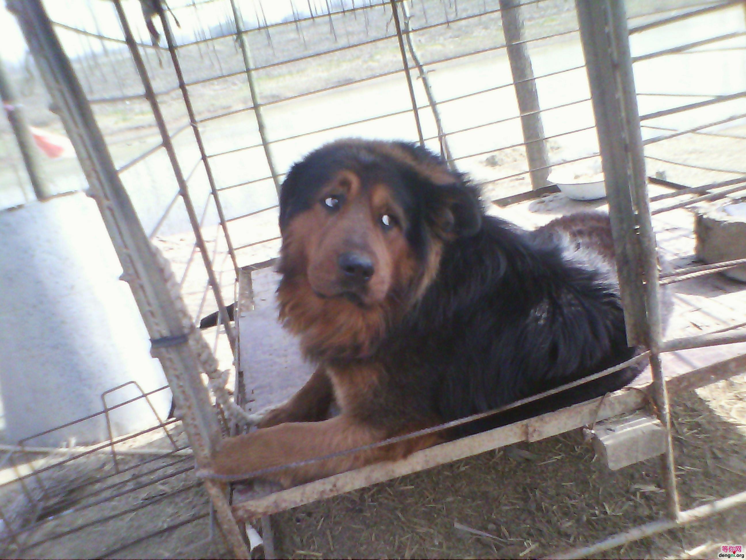 �ҵı�������