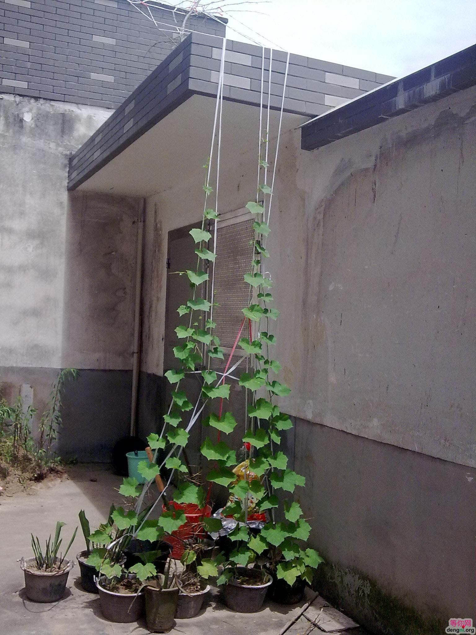 ���ڼ����ֵ�˿��