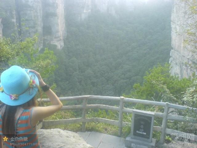 �żҽ�����