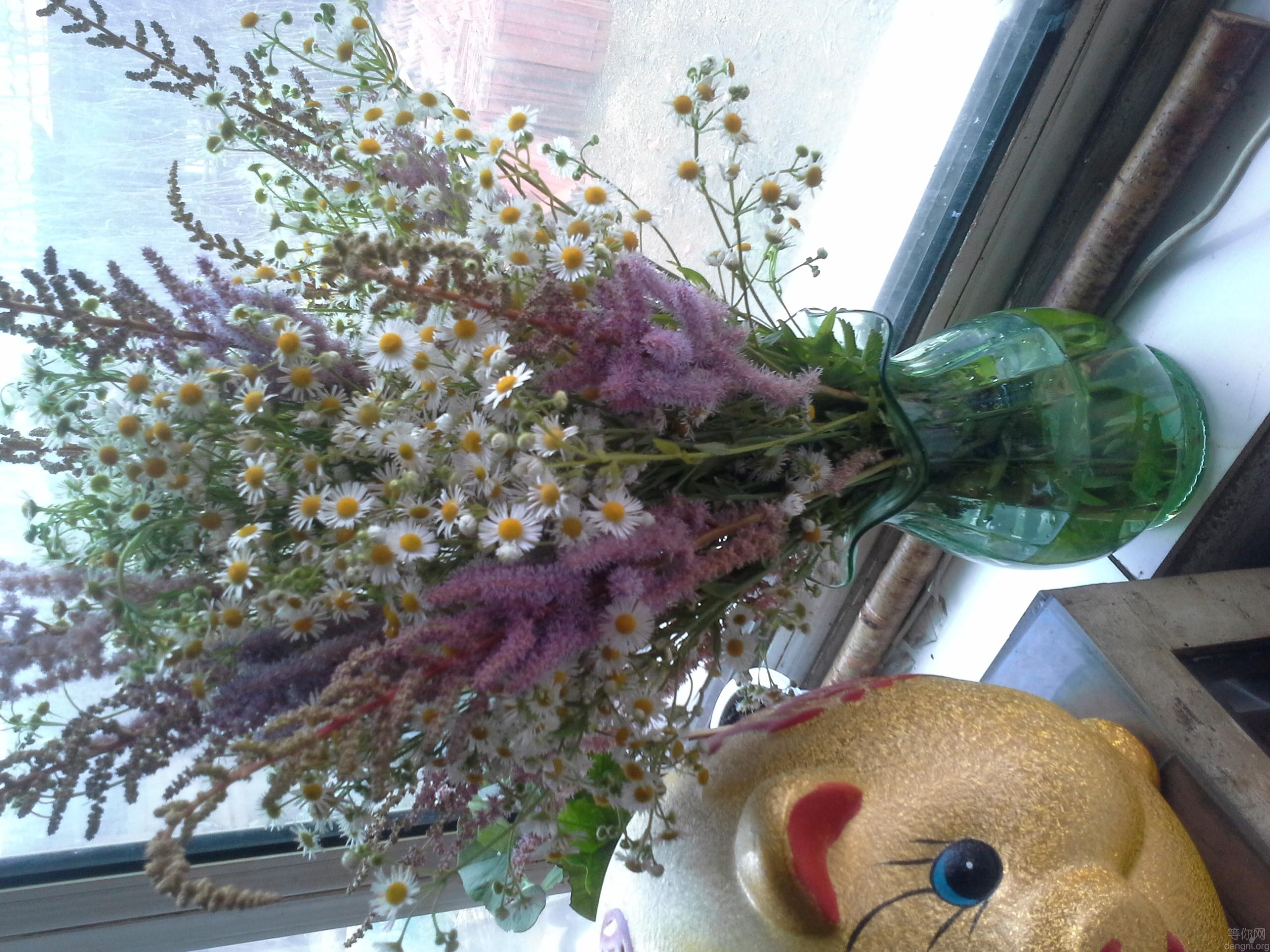 microMsg.1405229297592