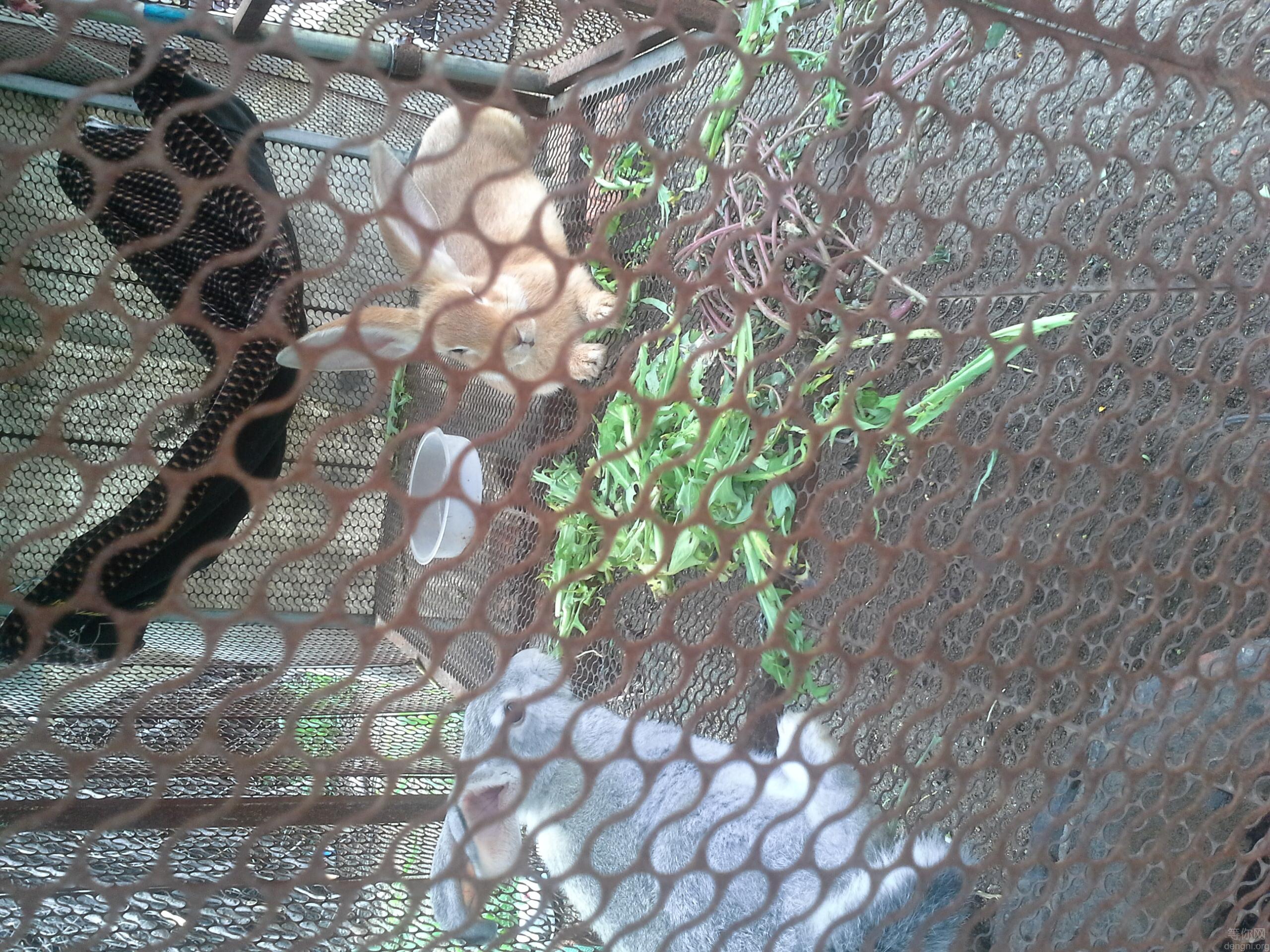 microMsg.1405757431857