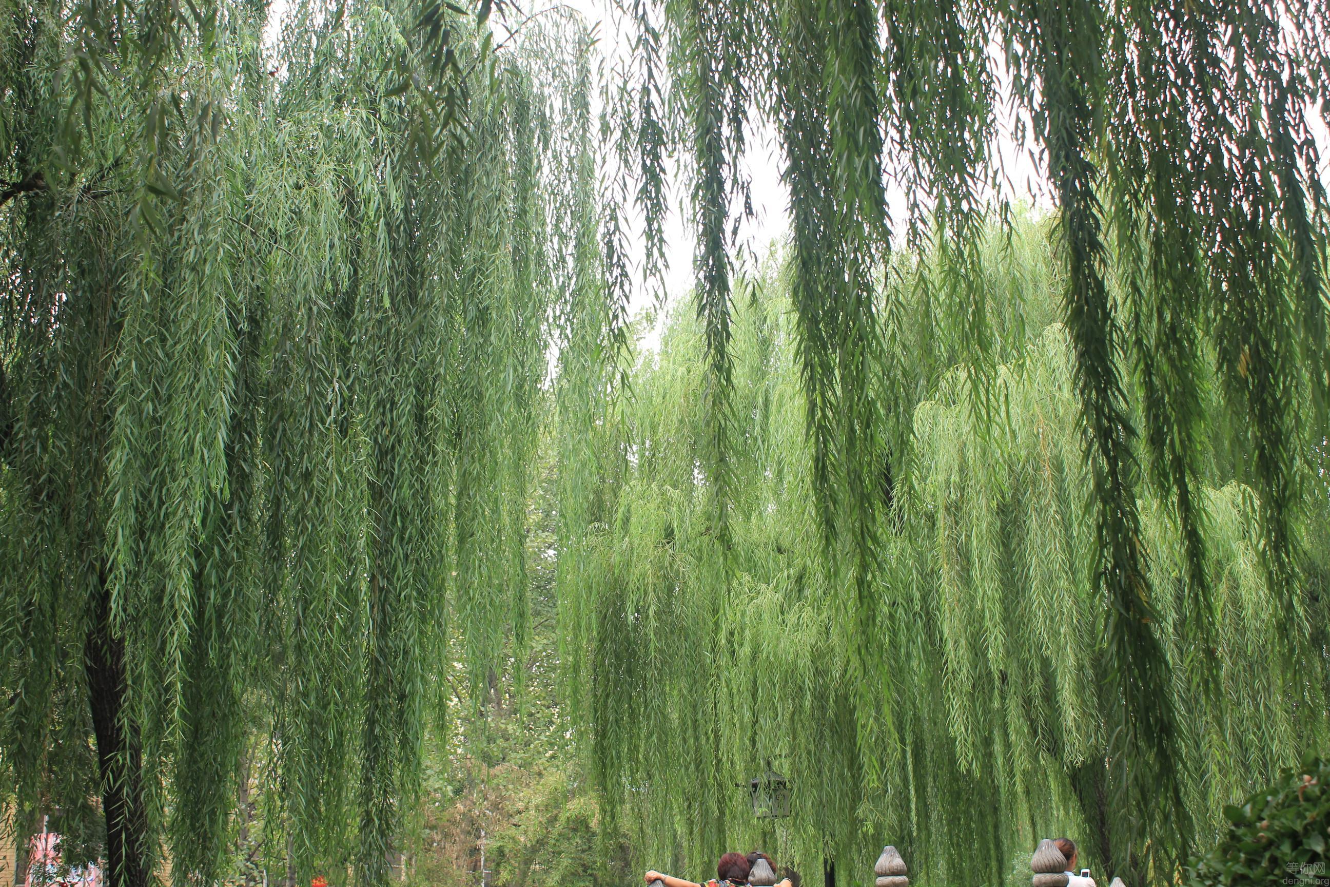 IMG_0222 2014��9�·ݹ��ݷ���ɽ����������� ����