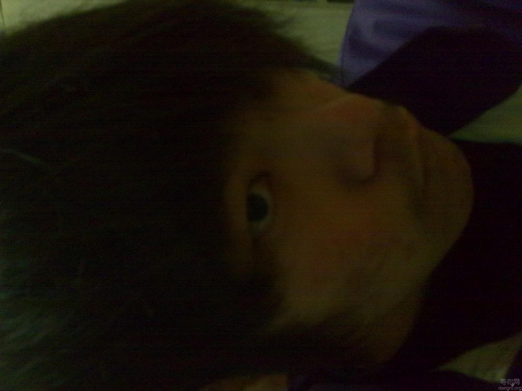 ������������6��¥305����Ӱ1��12��1��13�գ�