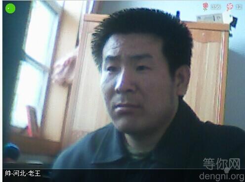 ������Ƭ