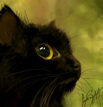 ��ĩ���֣�