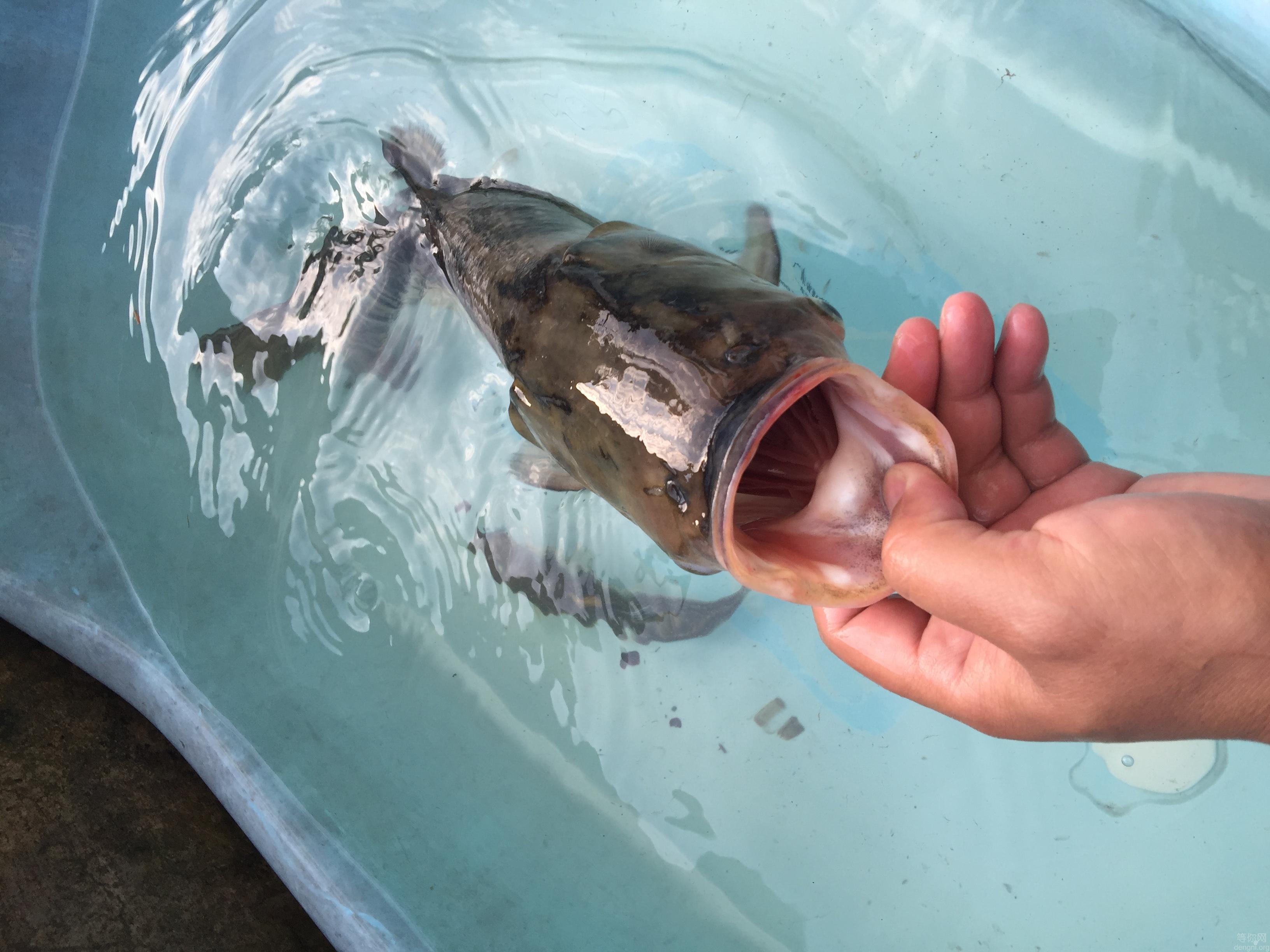 A96906AC-D1D4-4482-9F90-9D10A912F5E1