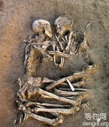 ��Զ�����ж�Զ��������������ͬ�������ƣ���������һǧ�ꡣ����ĸ��飬�����������������˶��ݵĶ����������������������롣