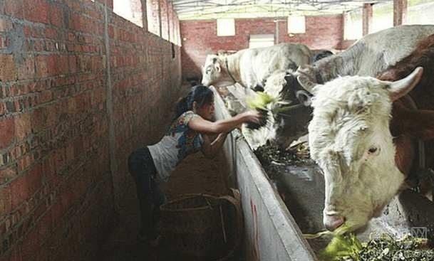 ��λŮ���ж�ȫƾ����֫��·����������ʱ������һ���󲡣��������ﲻ���������֣�����������һ��������˱����ж������������ѧ������һ�����С�